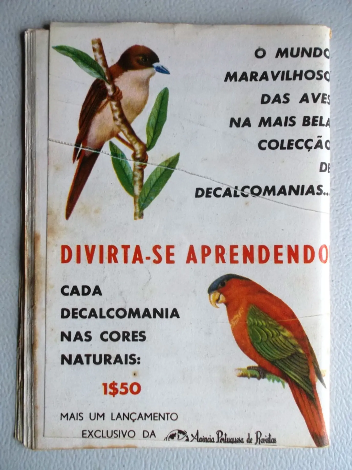Condor 246 2