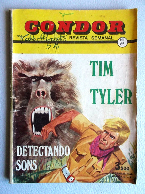 Condor 085