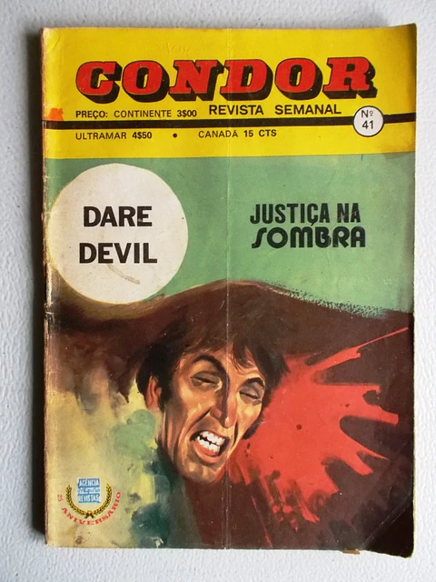 Condor 041