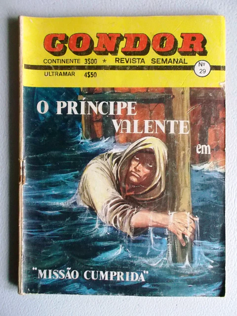 Condor 029