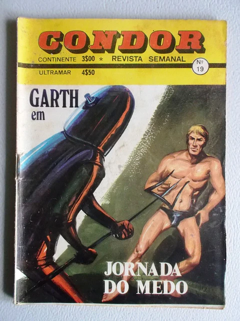 Condor 019