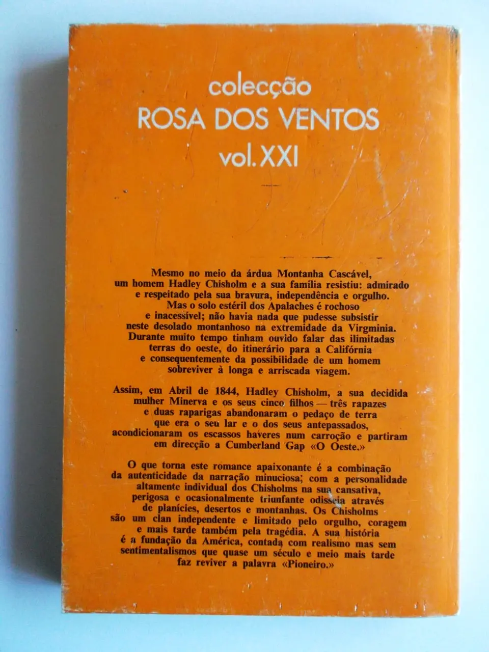 O Pioneiro 2