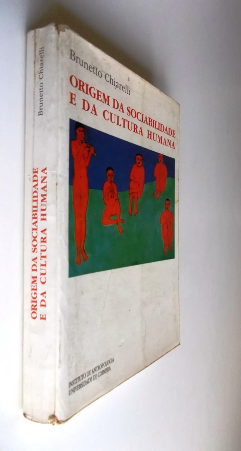 Origem da sociabilidade e da cultura humana - Brunetto Chiarelli 3