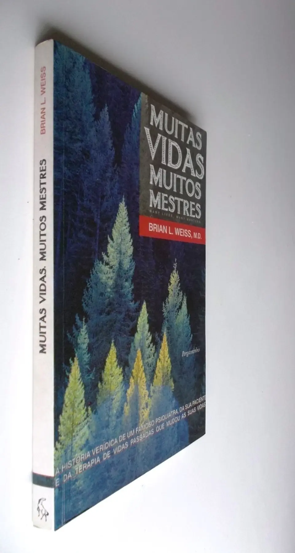 Muitas vidas, muitos mestres 3