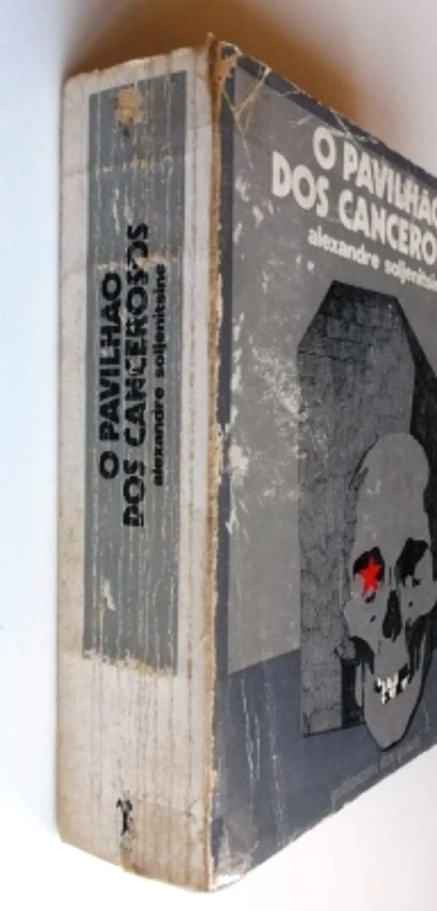 O Pavilhão dos cancerosos 3