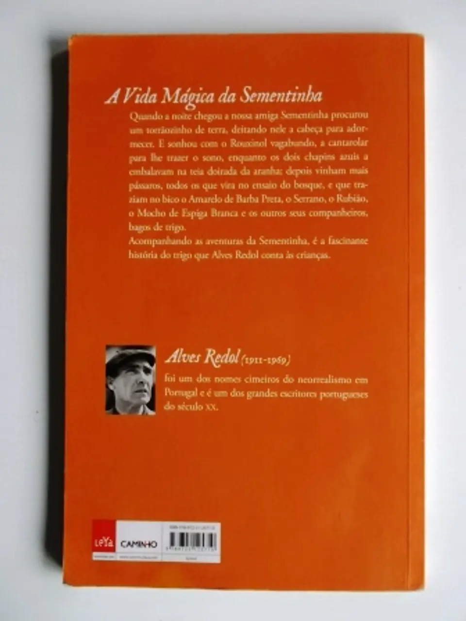 A vida Magica da Sementinha 2
