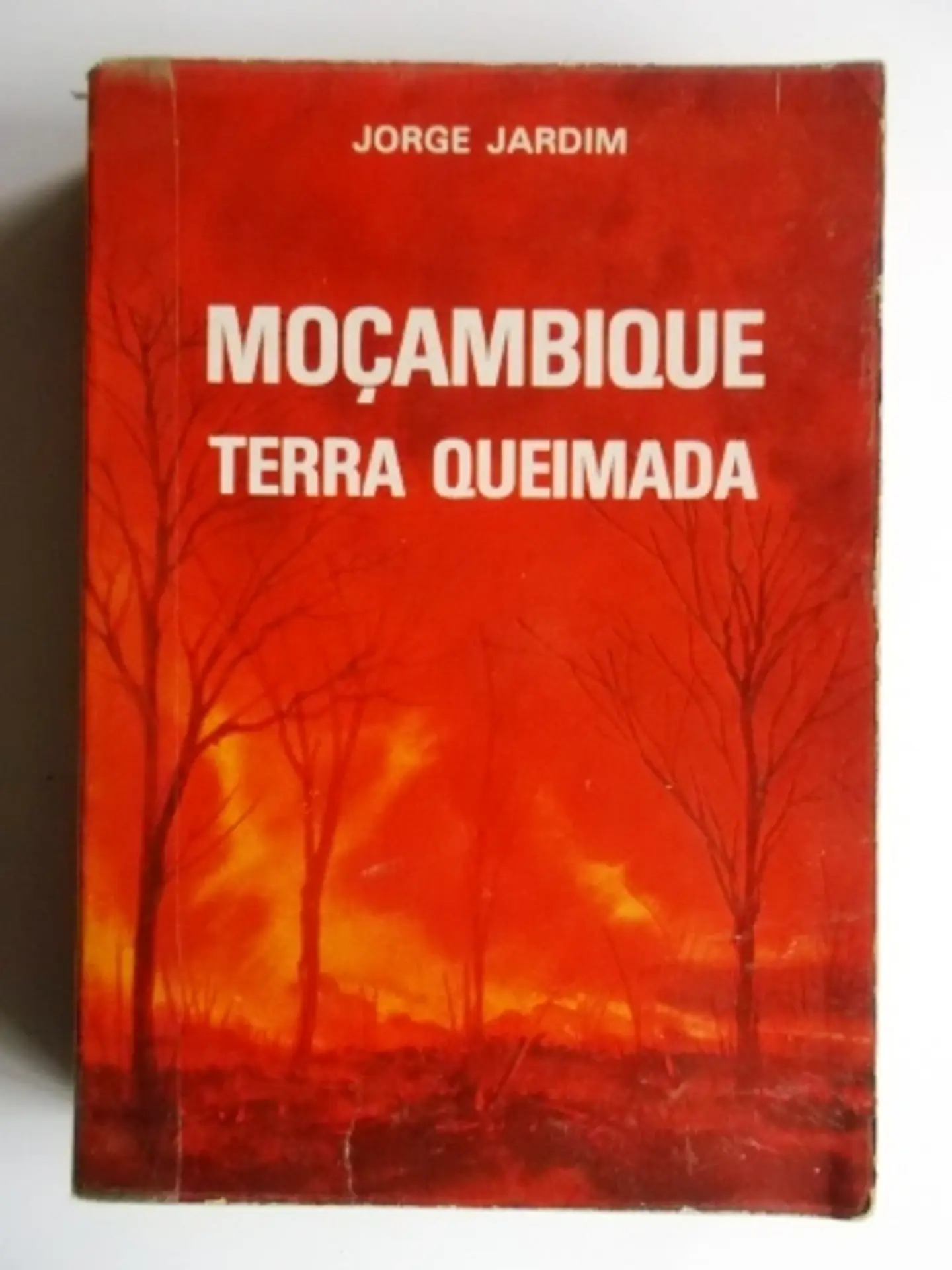 Moçambique terra queimada 1