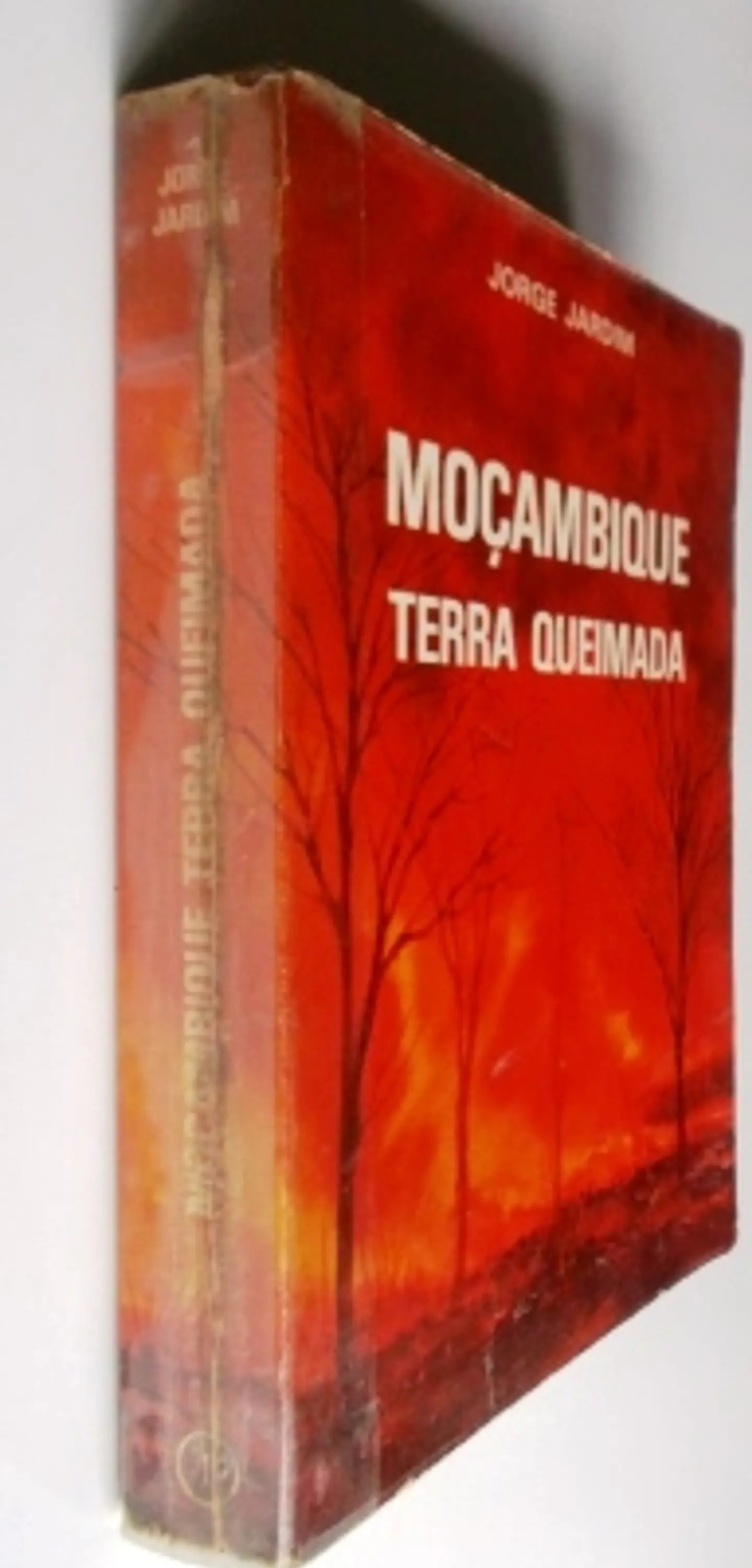Moçambique terra queimada 3