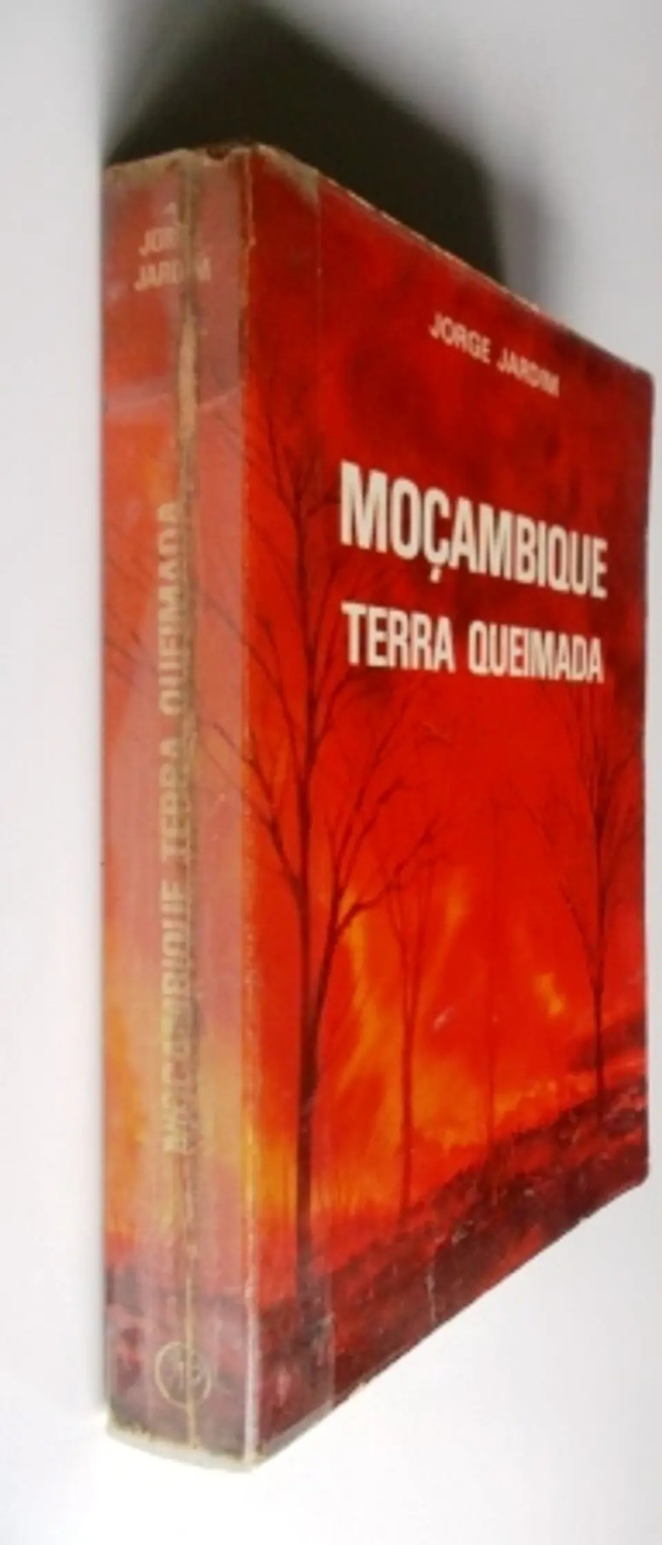 Moçambique terra queimada 3