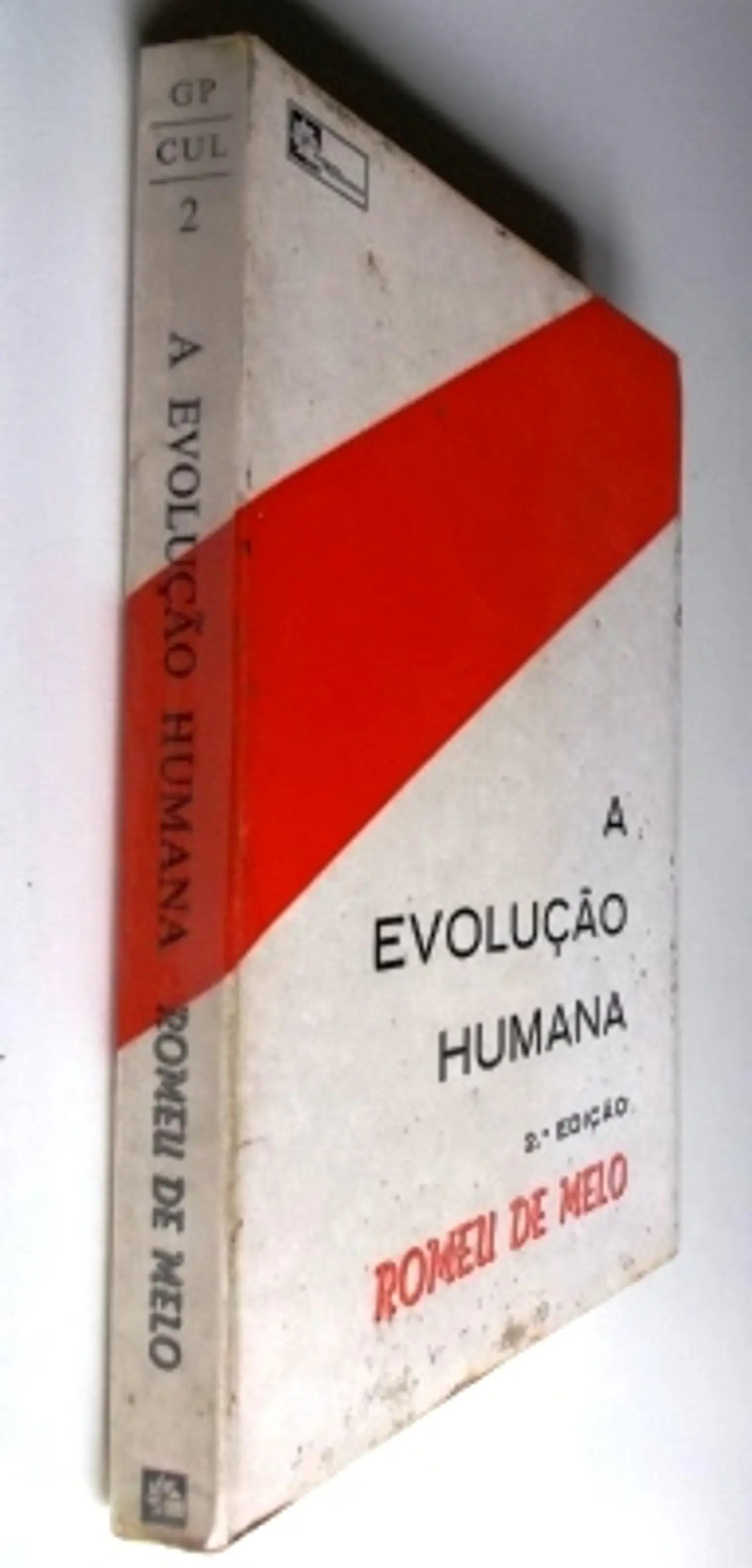 A Evolução Humana 3