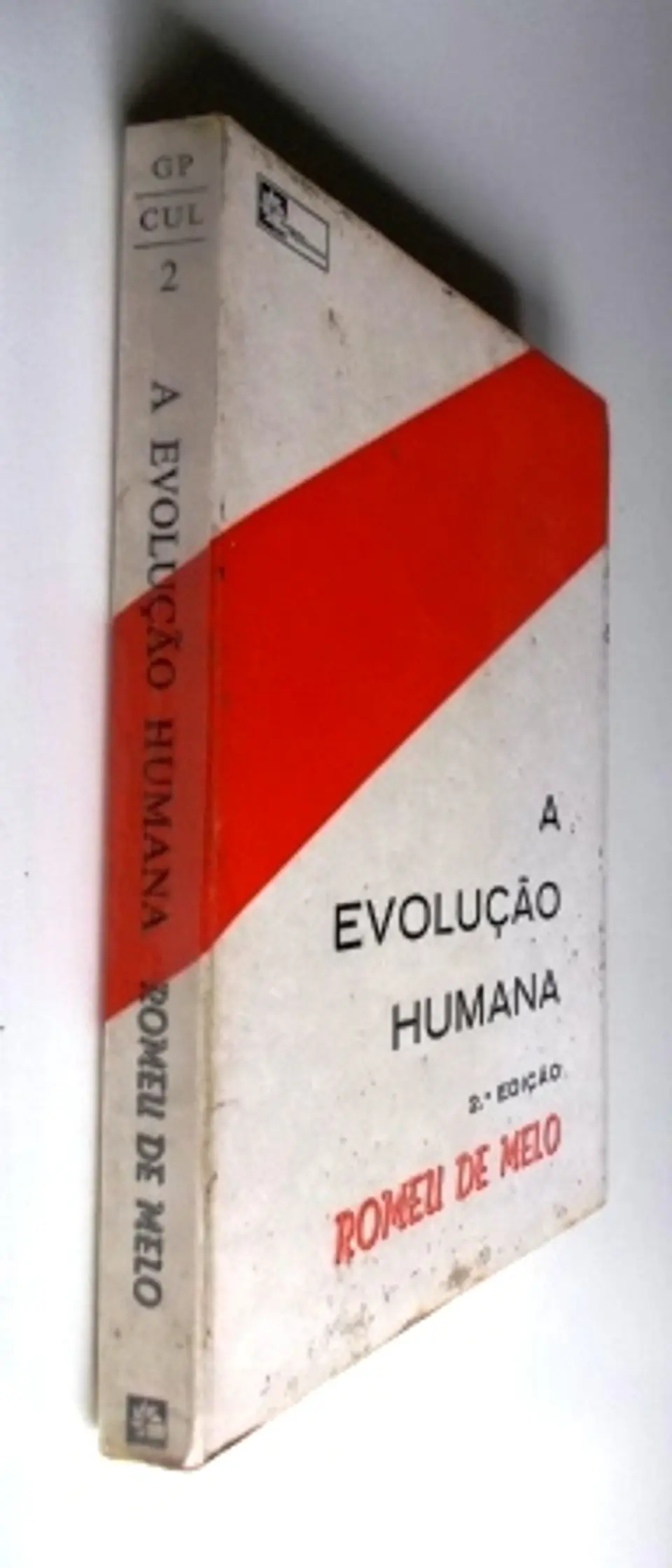 A Evolução Humana 3