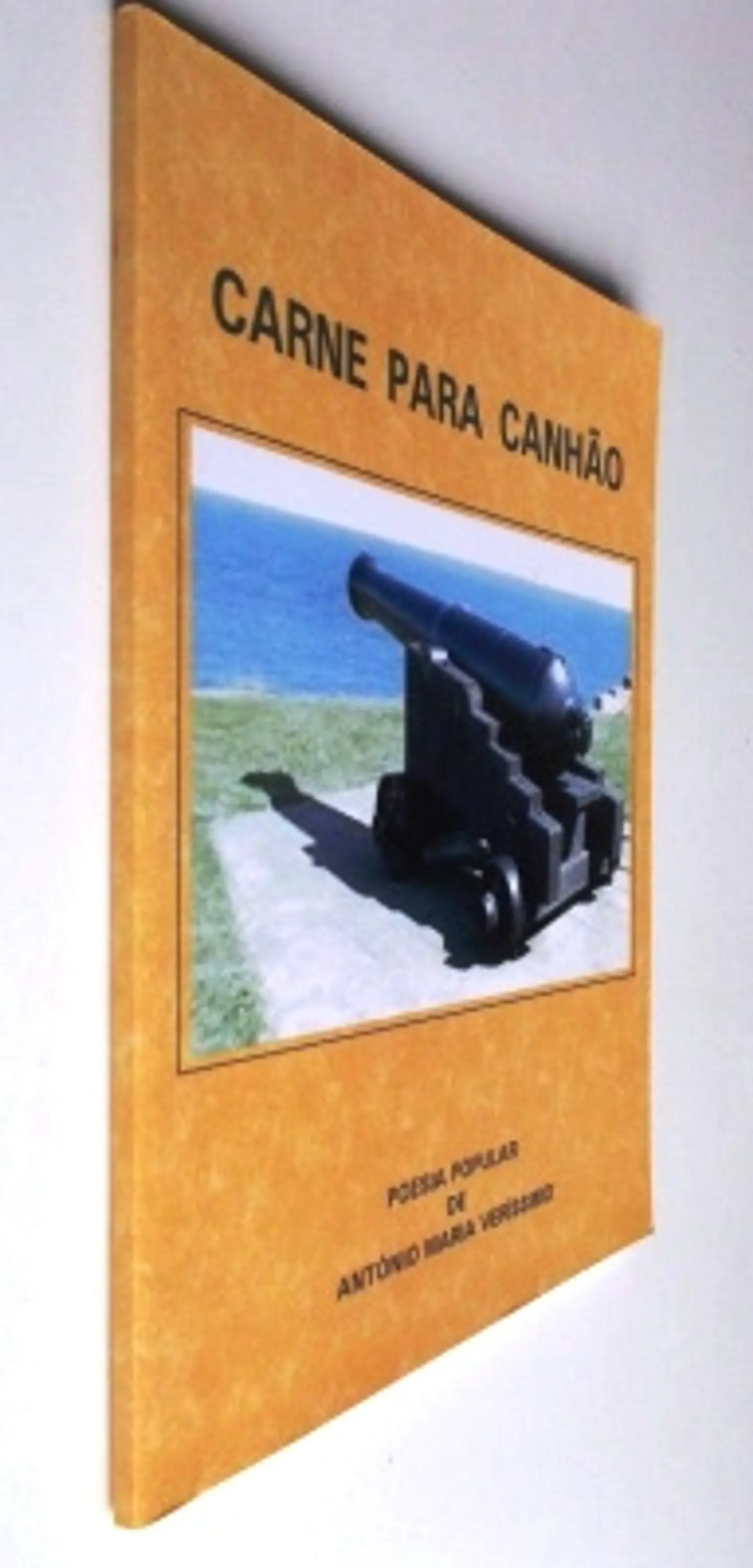Carne para Canhão 3