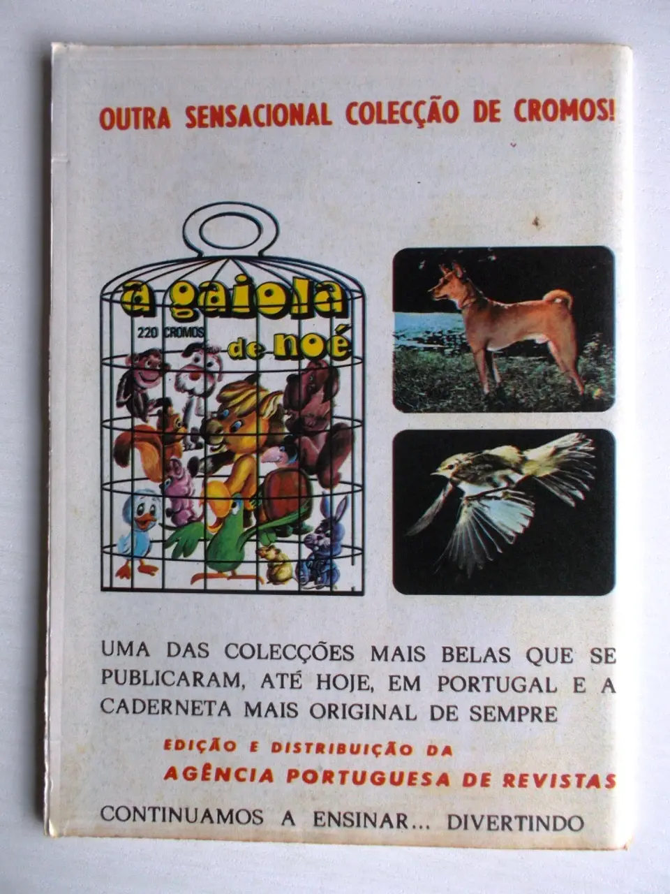 Aventuras do FBI 233 2
