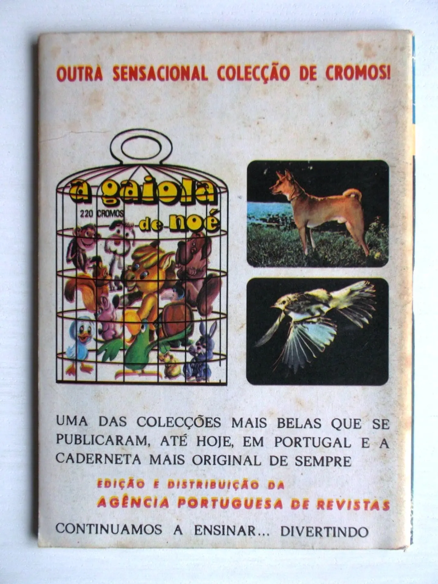 Aventuras do FBI 231 2