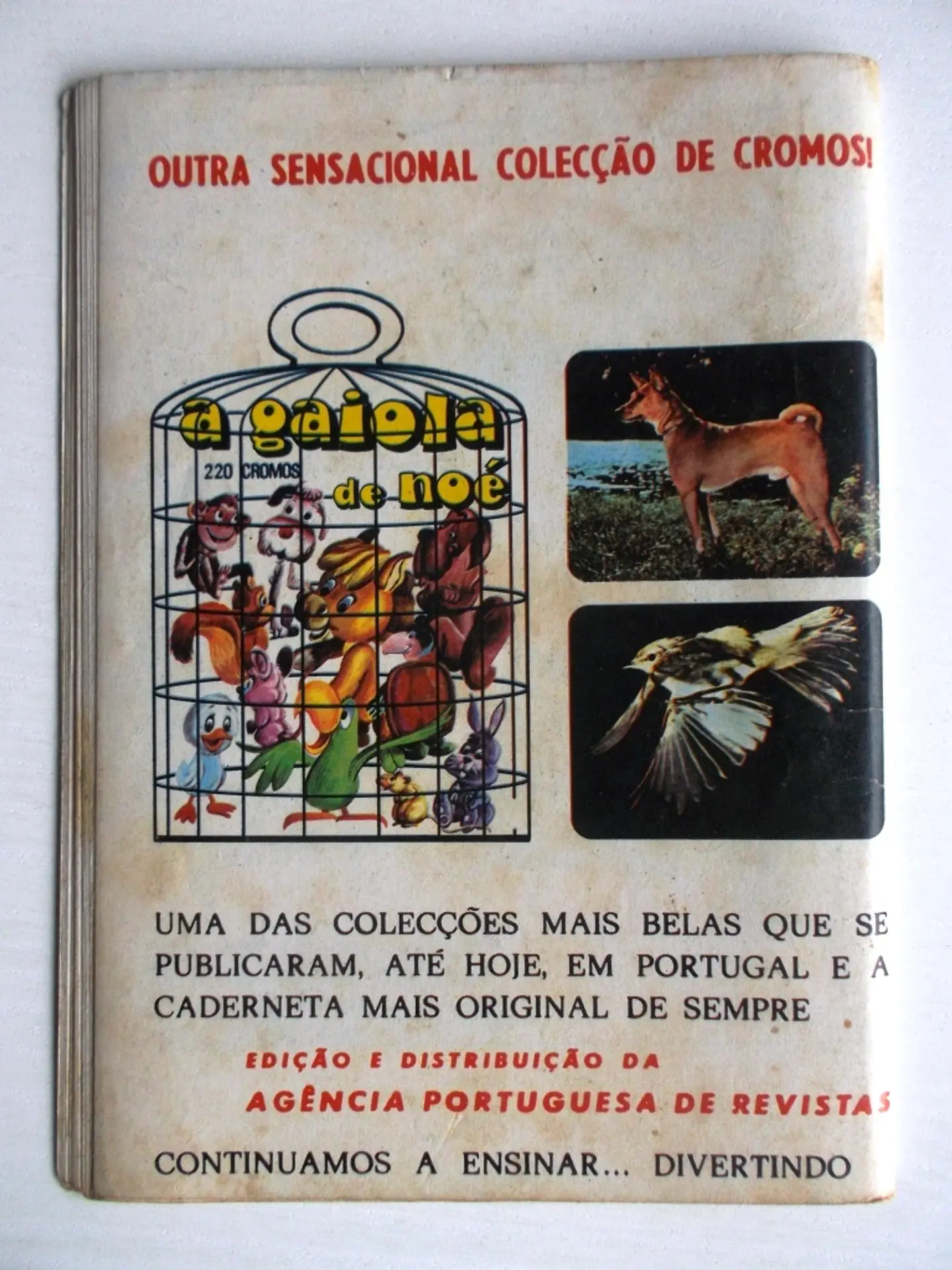 Aventuras do FBI 230 2