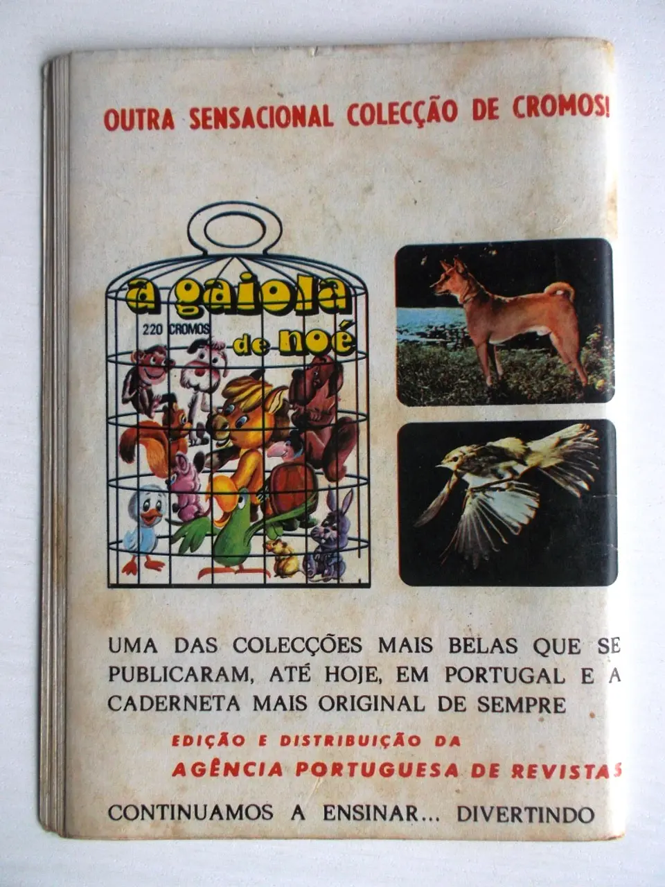Aventuras do FBI 230 2
