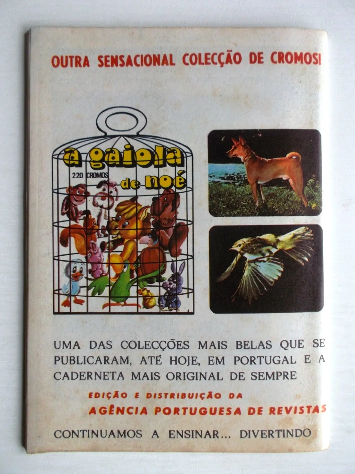 Aventuras do FBI 228 2