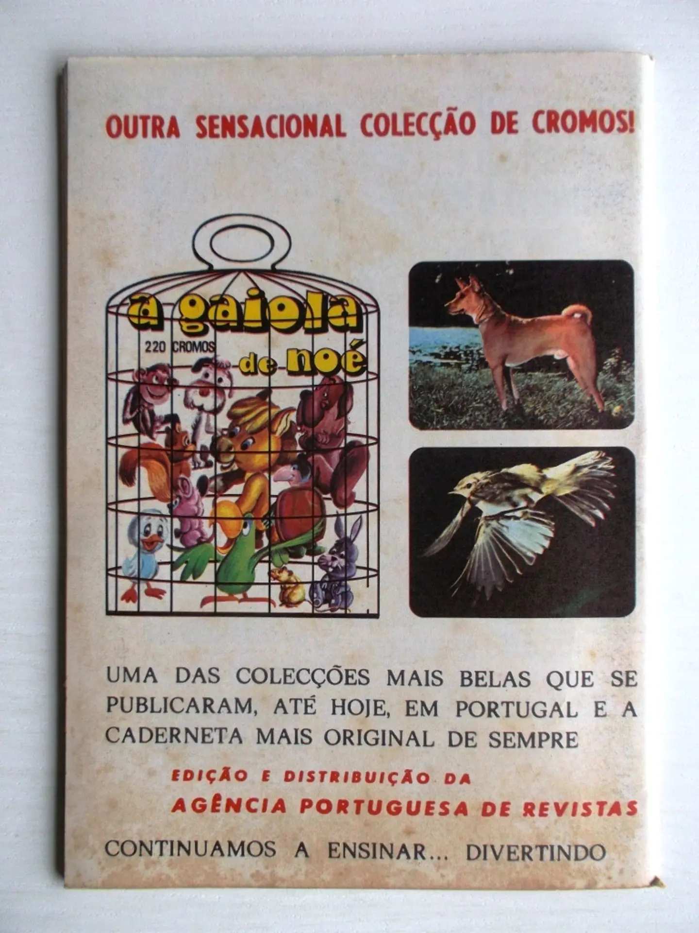 Aventuras do FBI 226 2