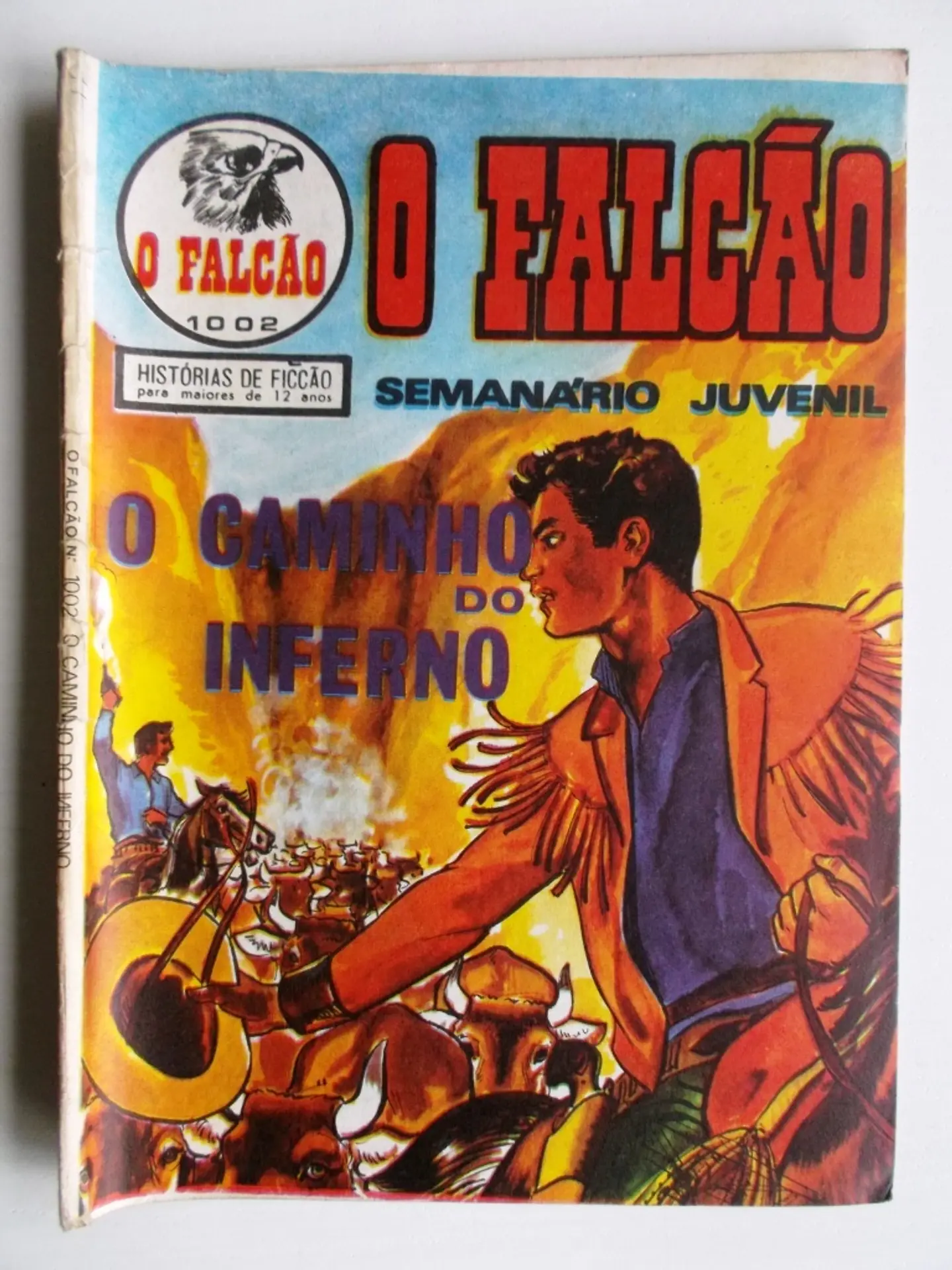 O Falcão 1002 1