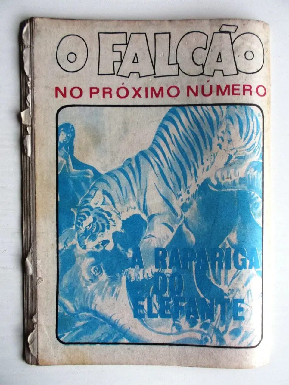 O Falcão 1002 2