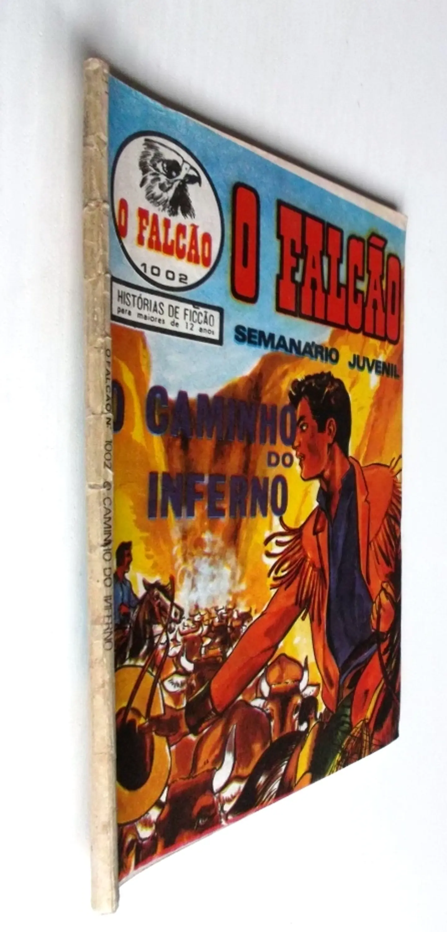 O Falcão 1002 3