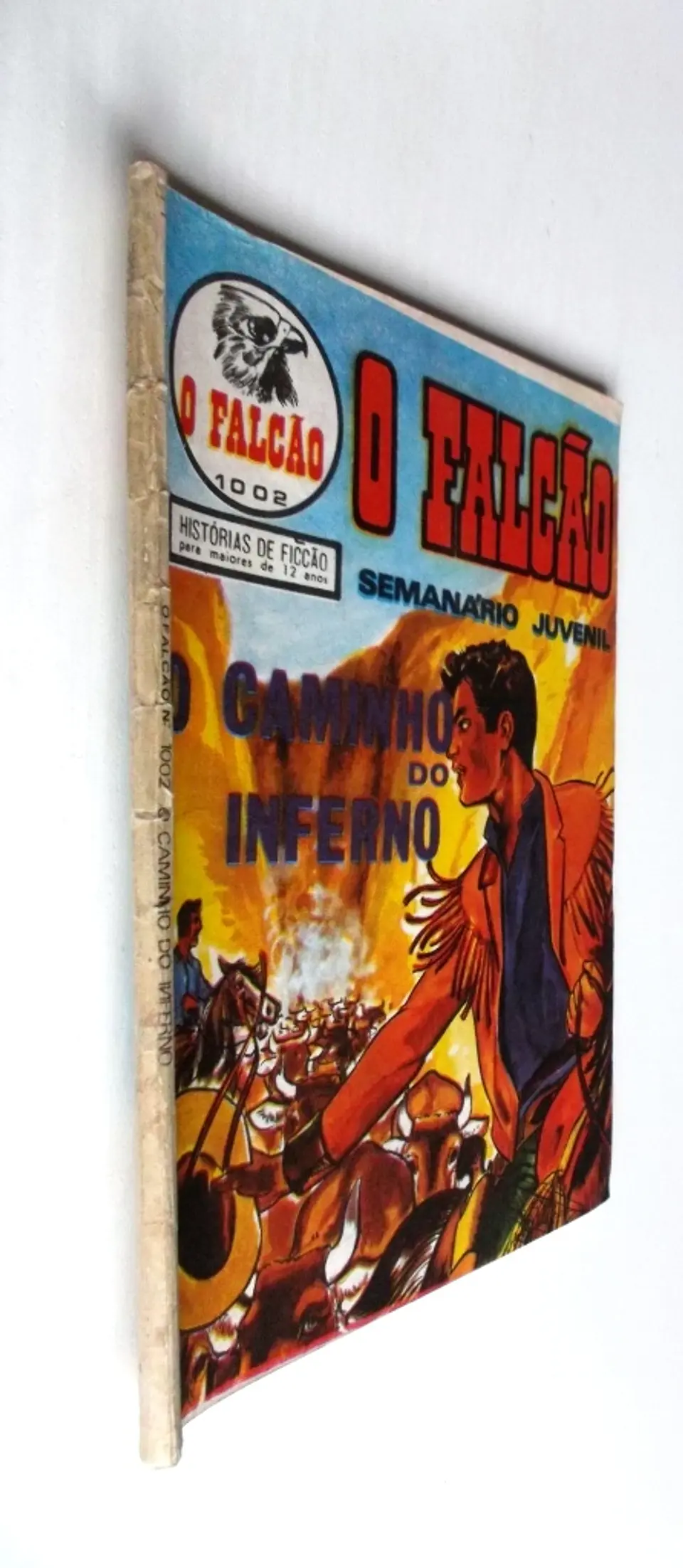 O Falcão 1002 3