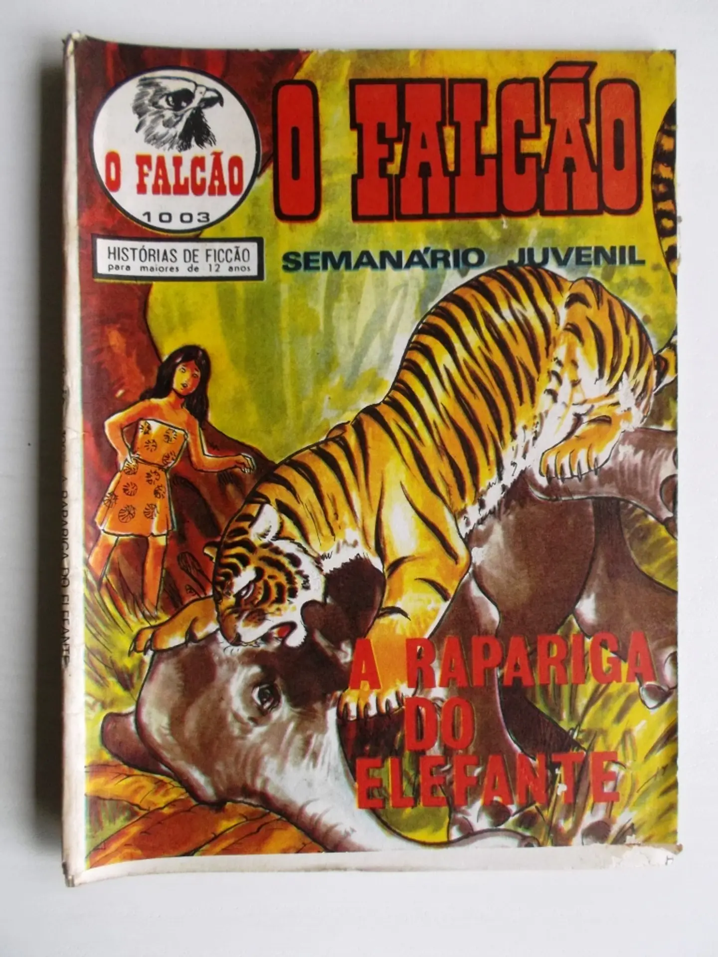O Falcão 1003 1