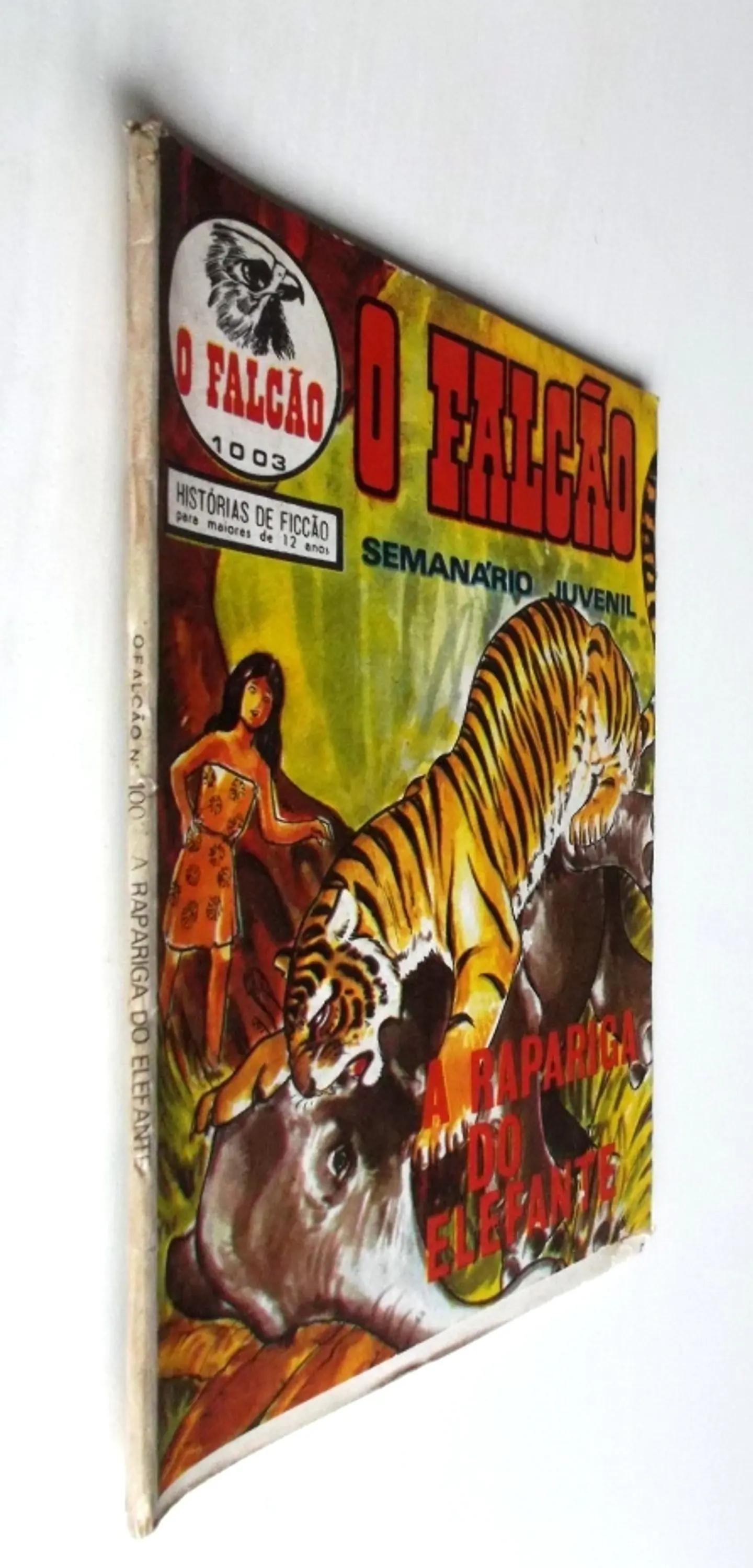 O Falcão 1003 3