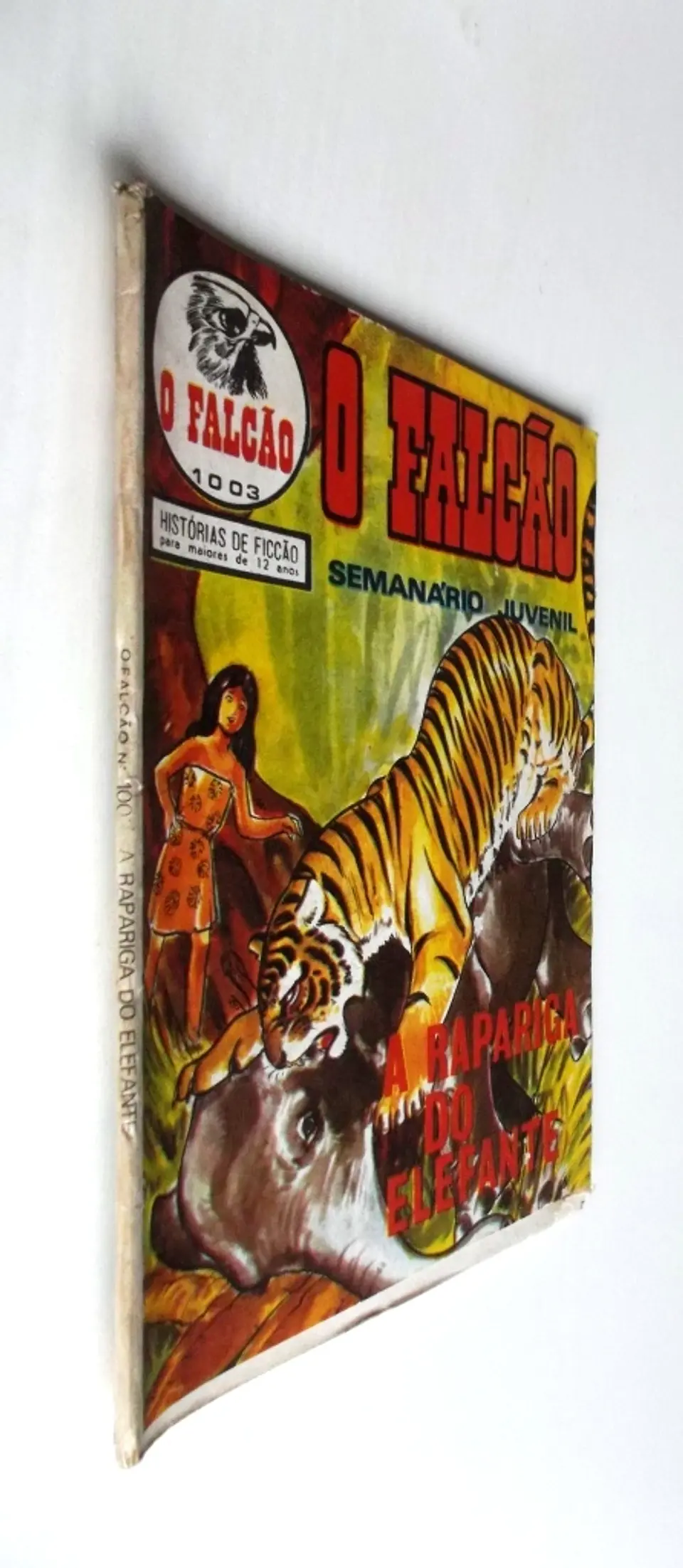 O Falcão 1003 3