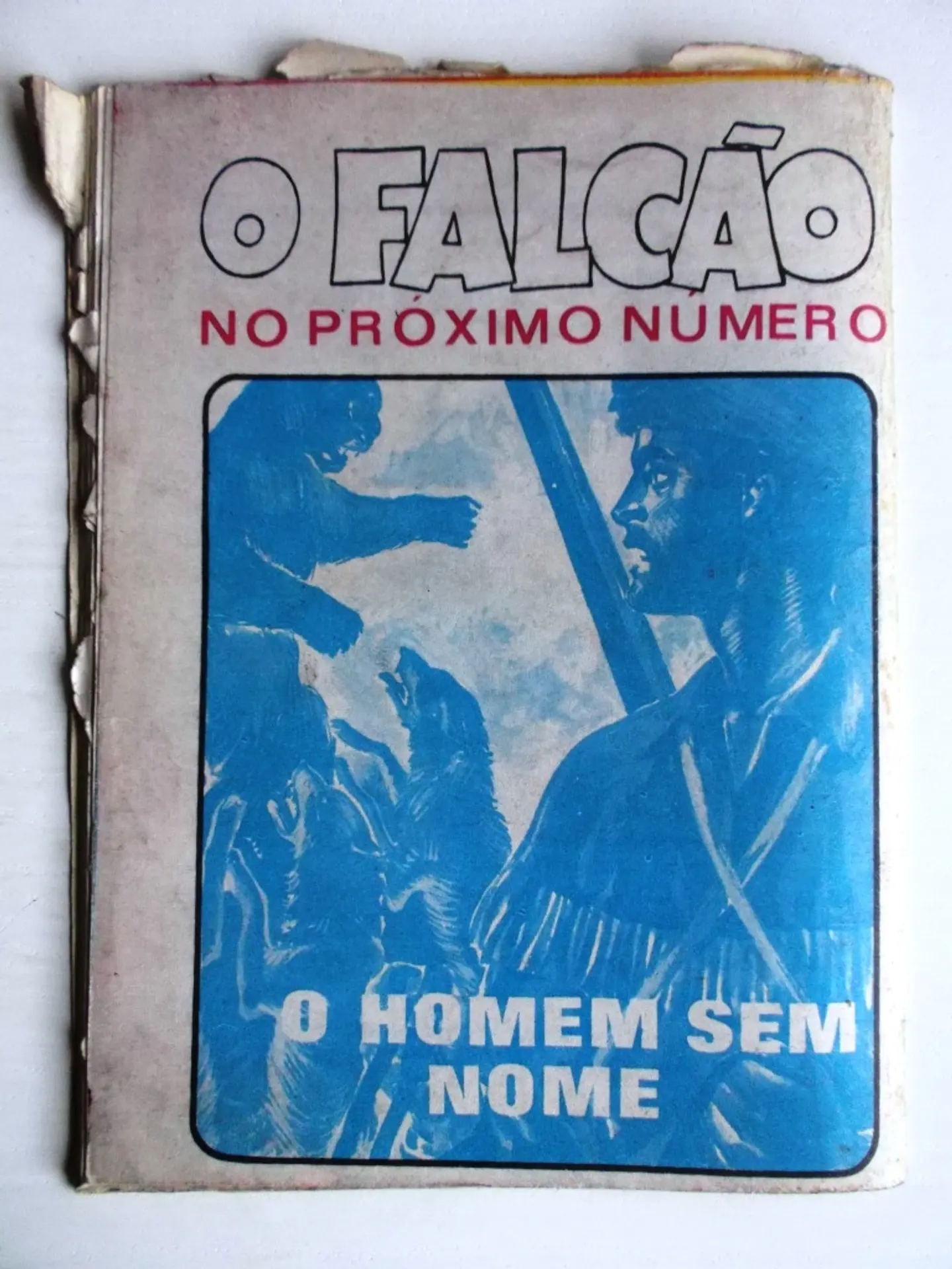 O Falcão 1008 2