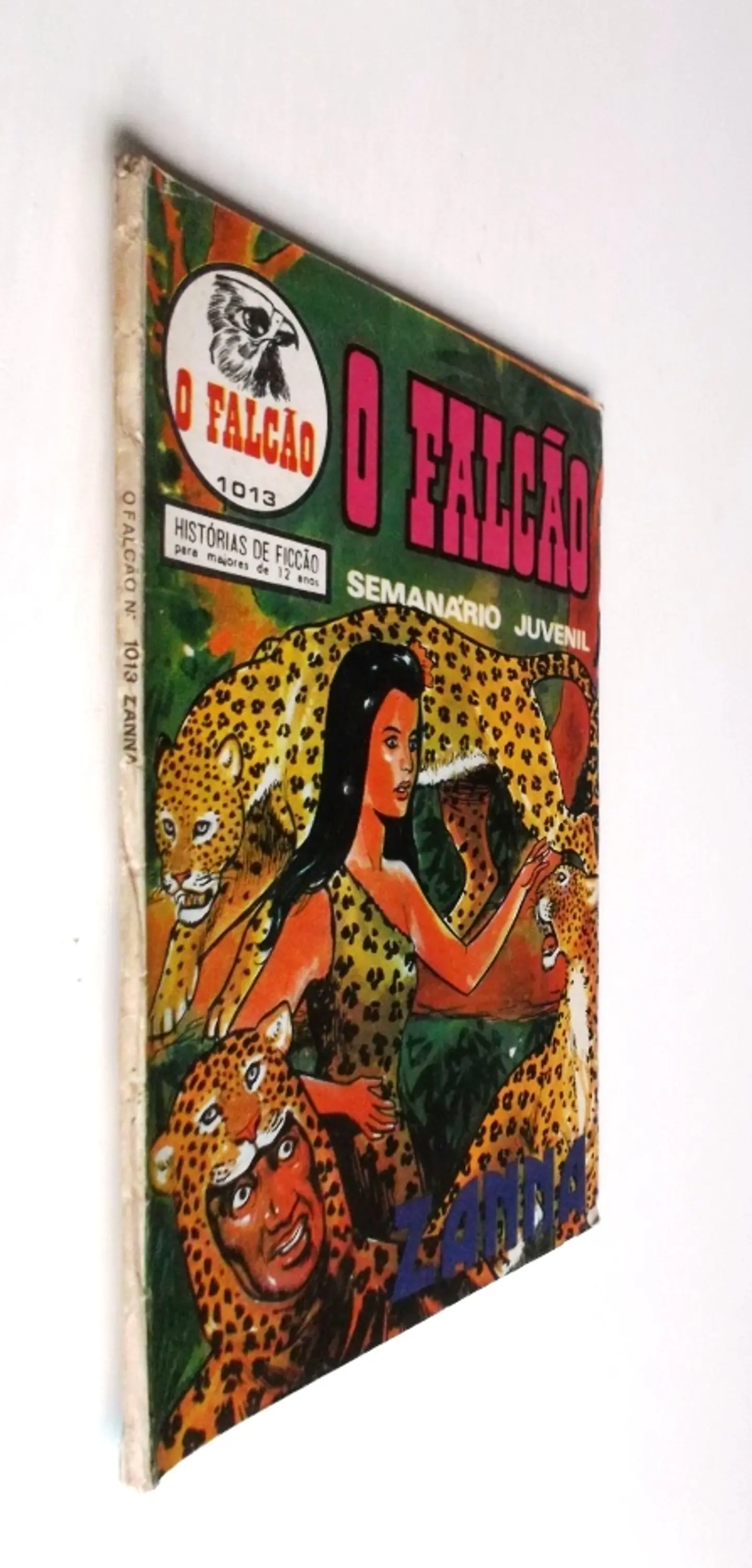 O Falcão 1013 3
