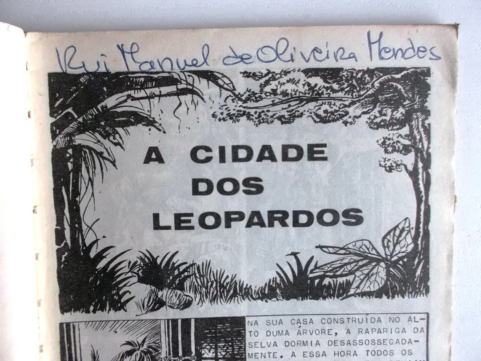 O Falcão 1013 4