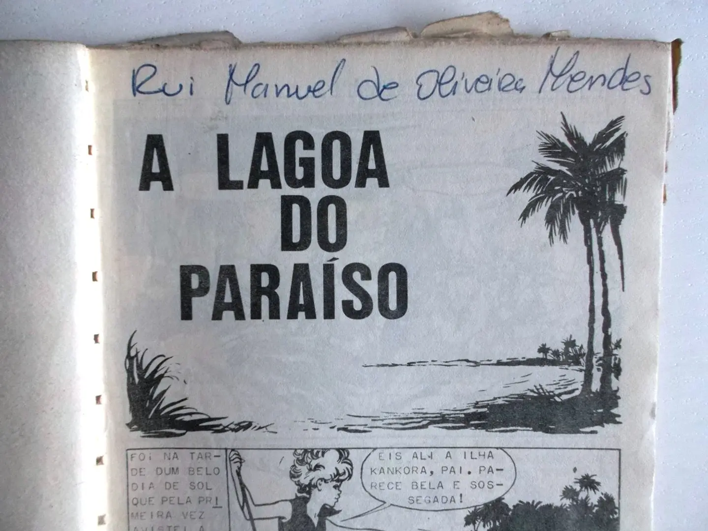 O Falcão 1008 4