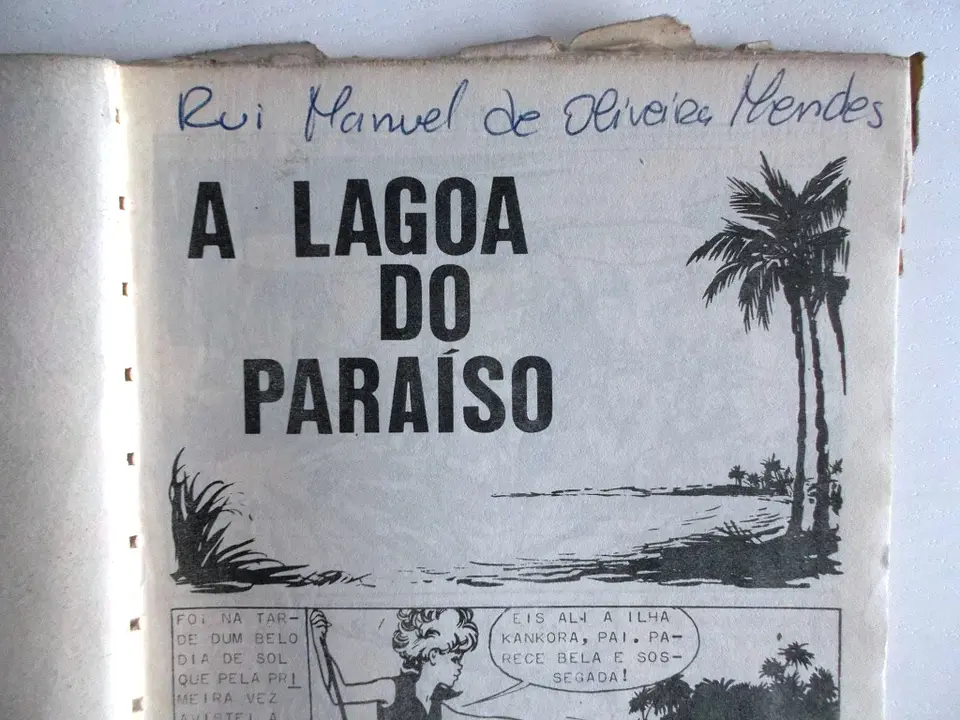 O Falcão 1008 4