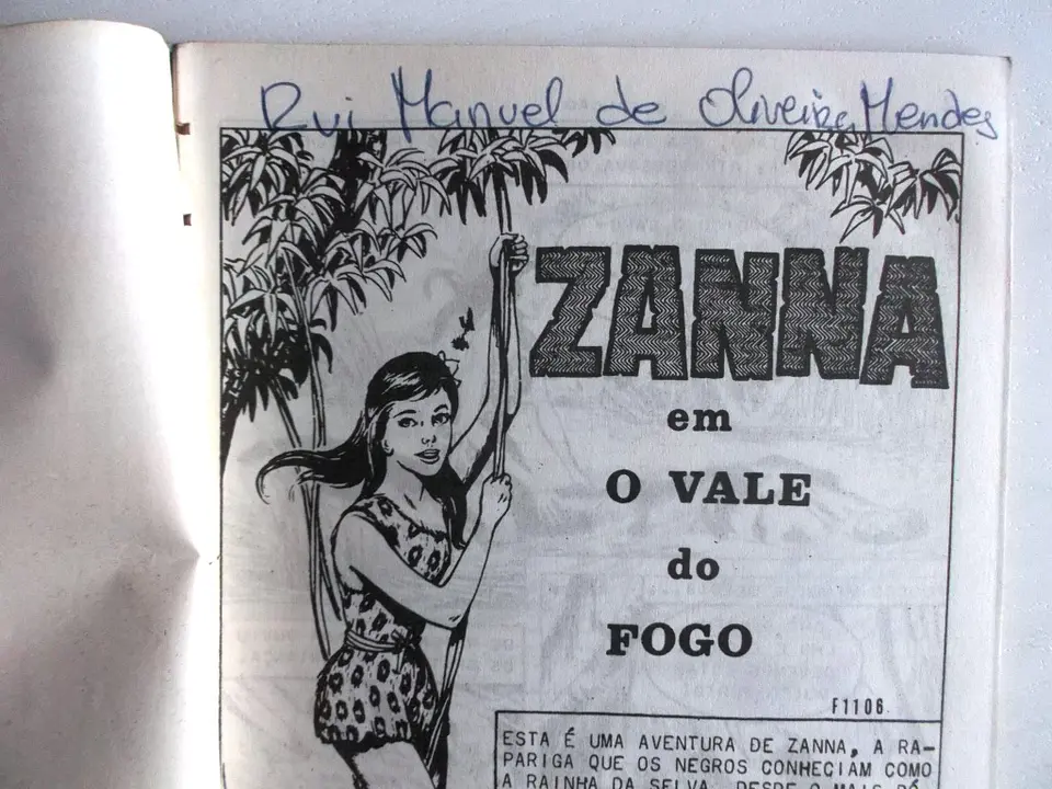 O Falcão 1006 4