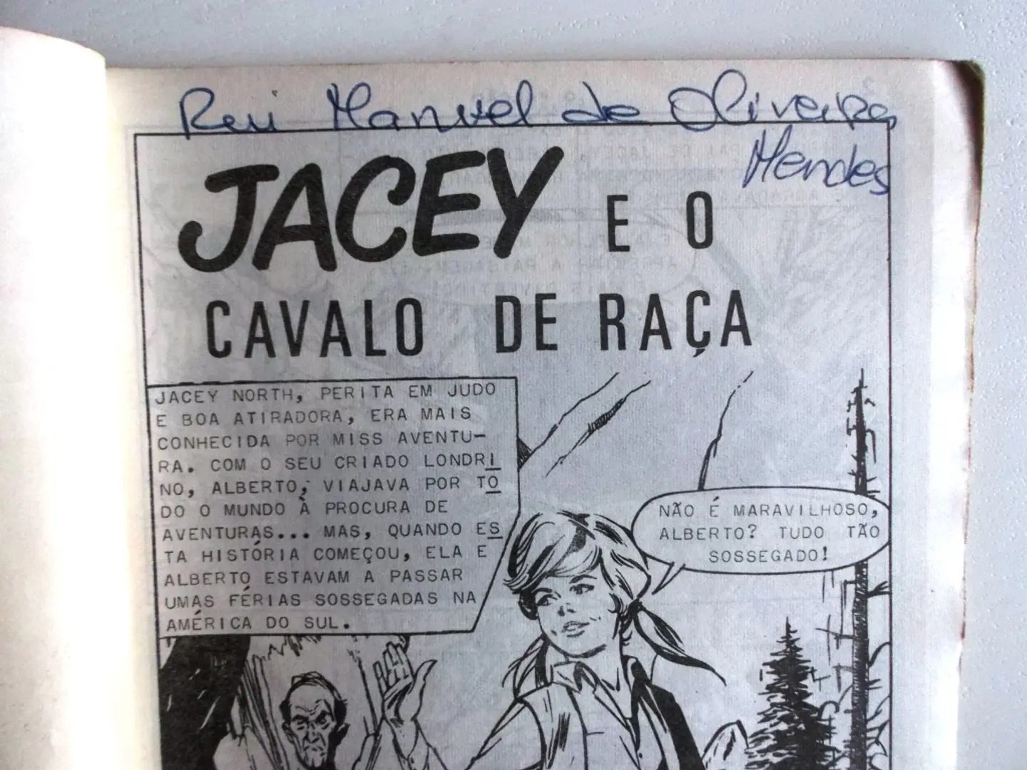 O Falcão 1005 4