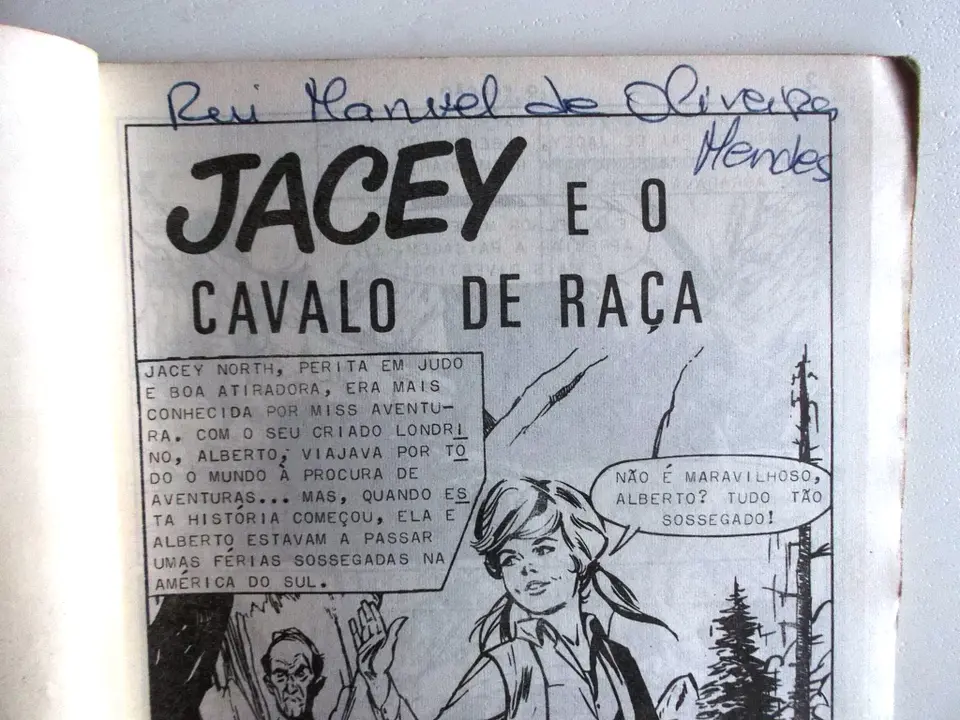 O Falcão 1005 4