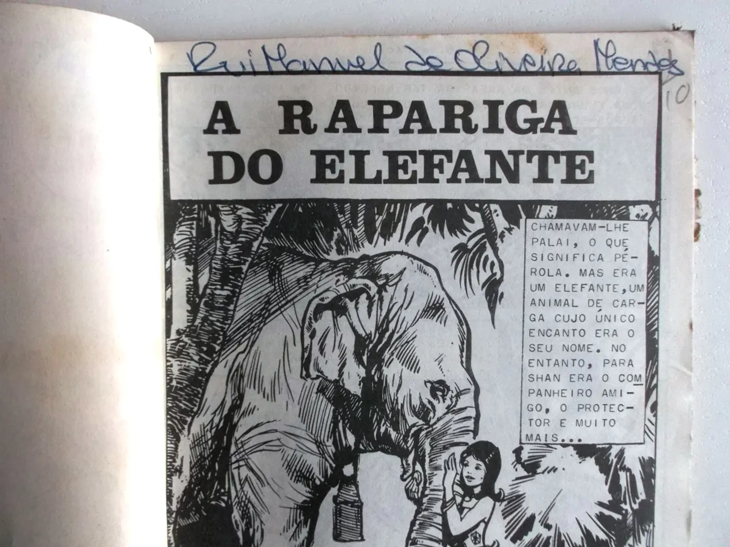 O Falcão 1003 4