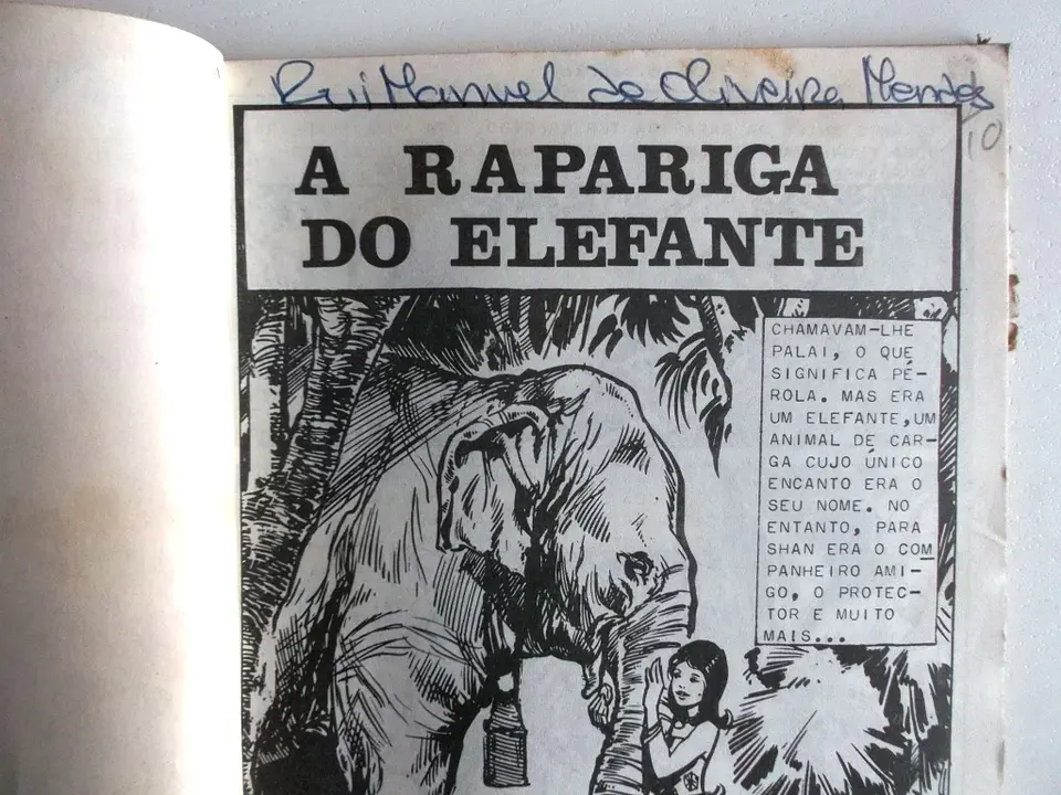 O Falcão 1003 4