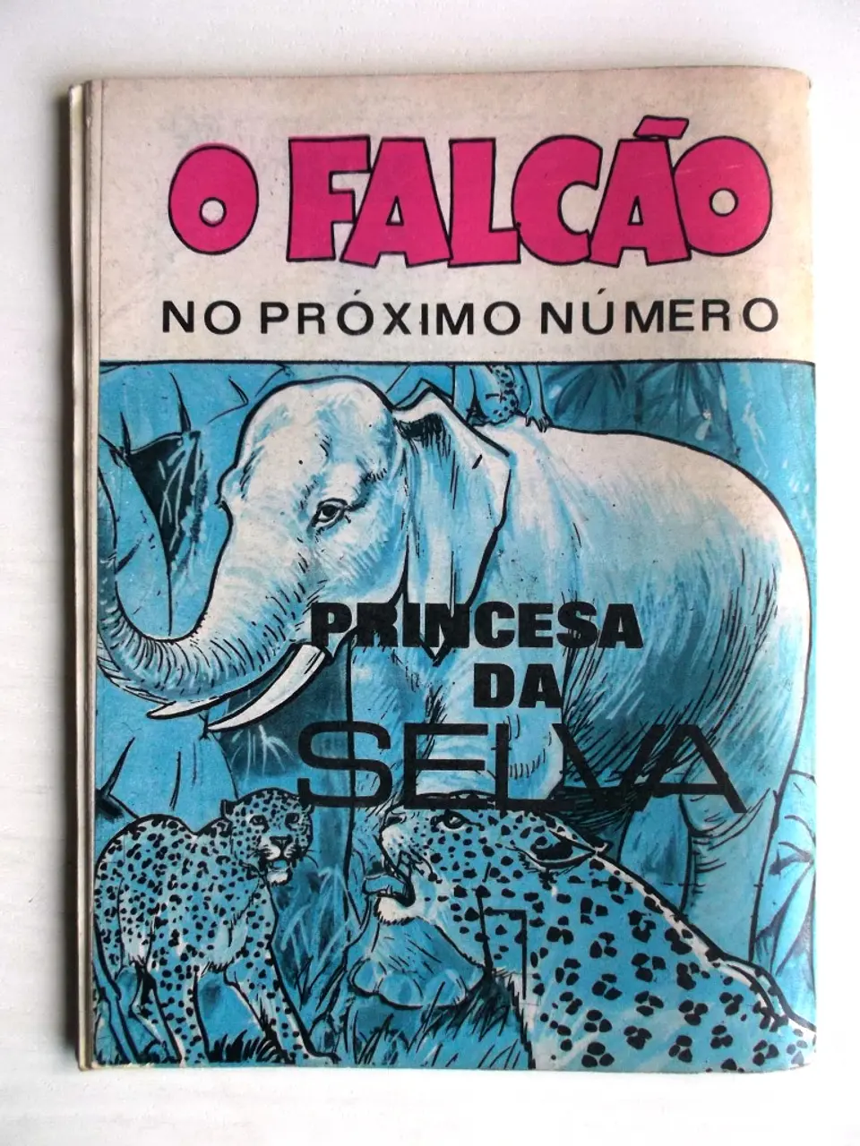 O Falcão 1049 - Caribú 2
