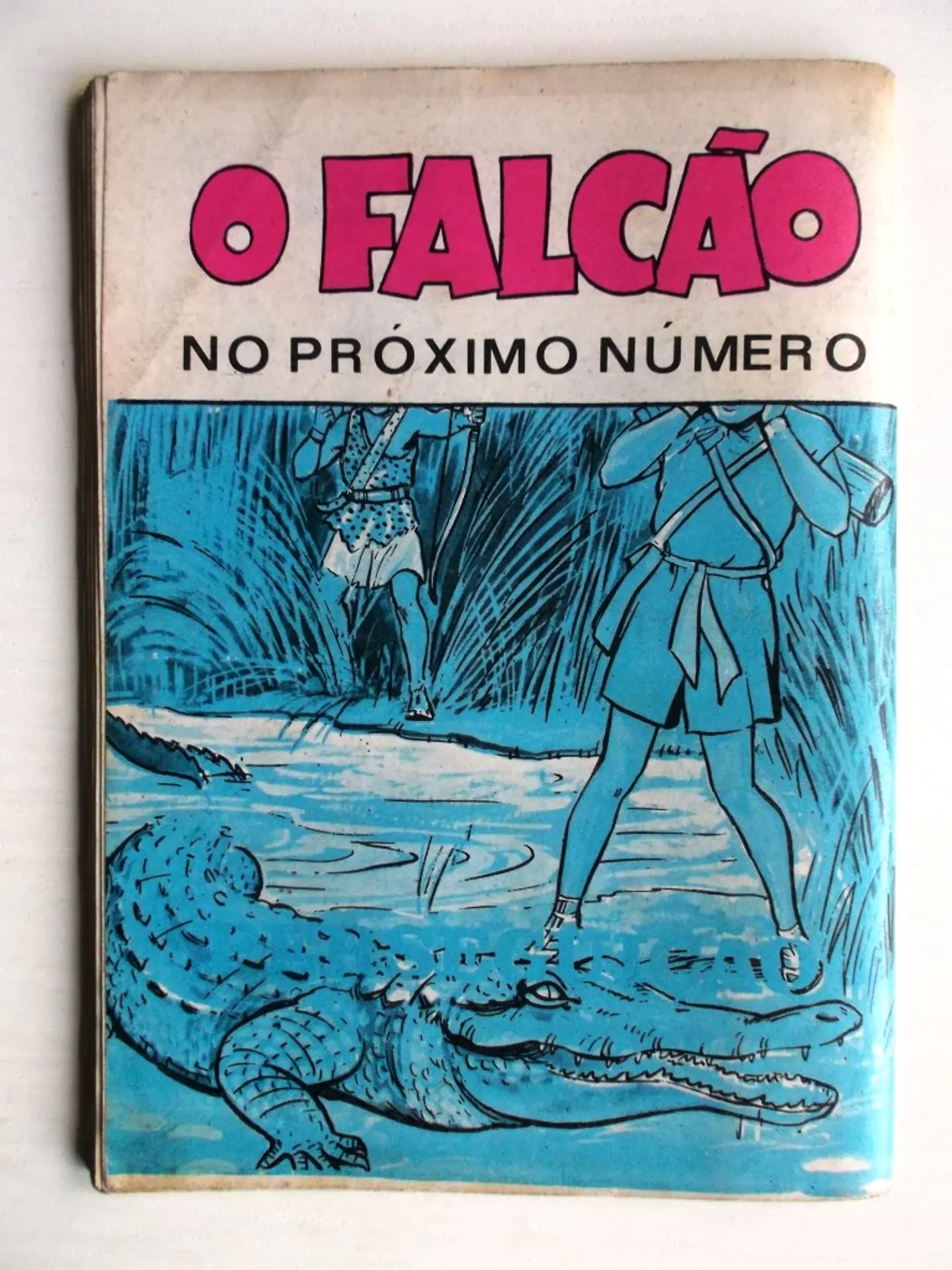 O Falcão 1051 - Jim Canadá 2