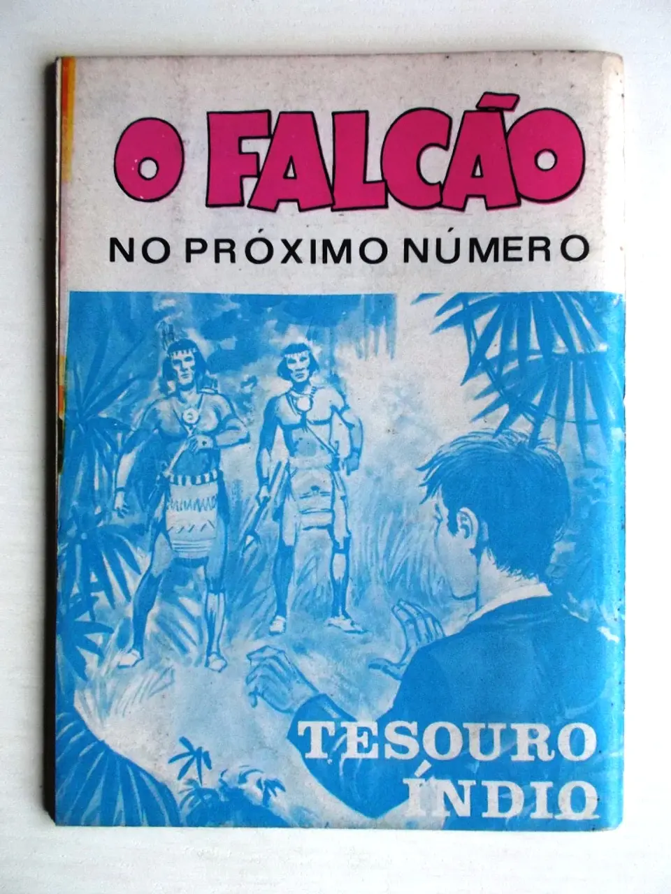 O Falcão 1055 2