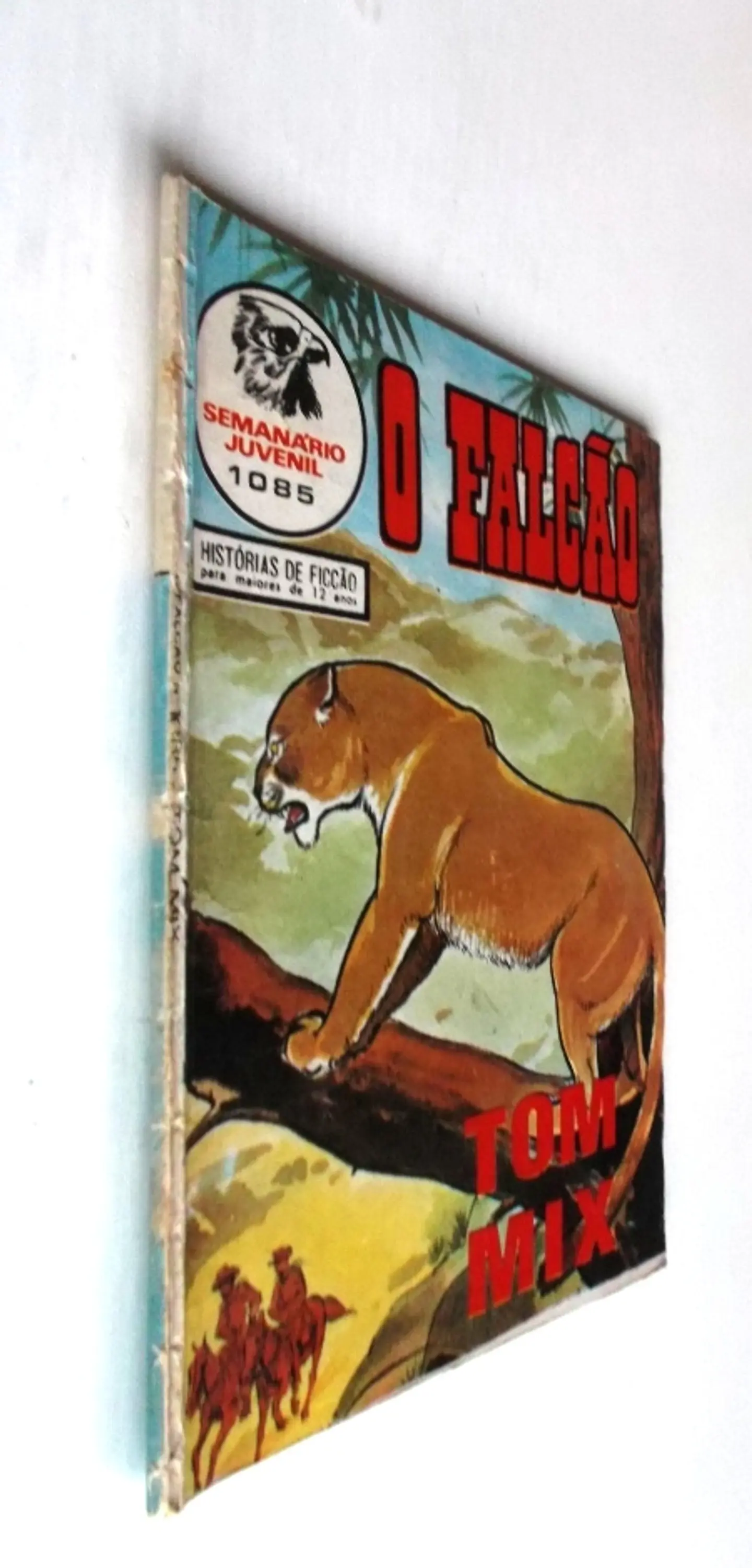 O Falcão 1085 3