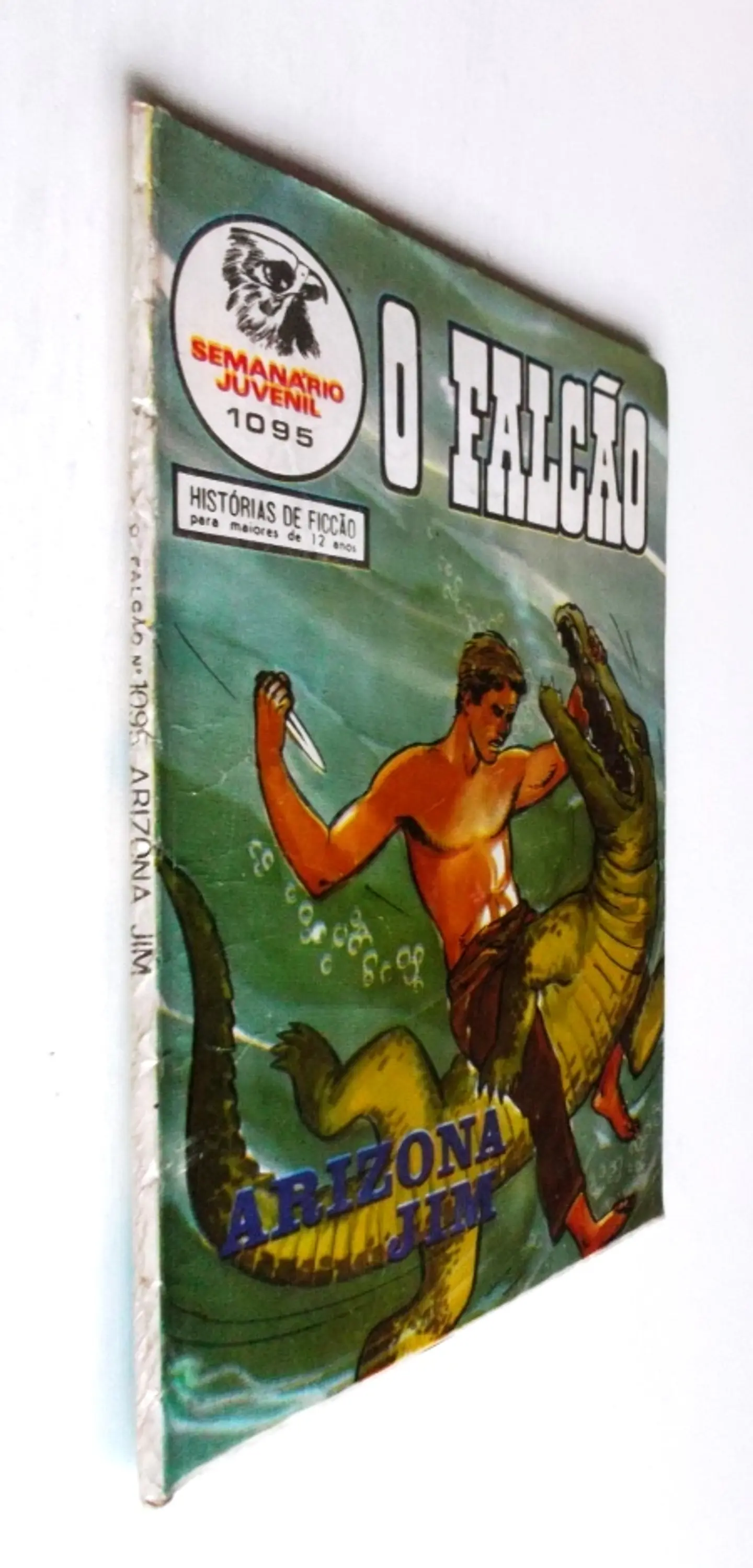 O Falcão 1095 3