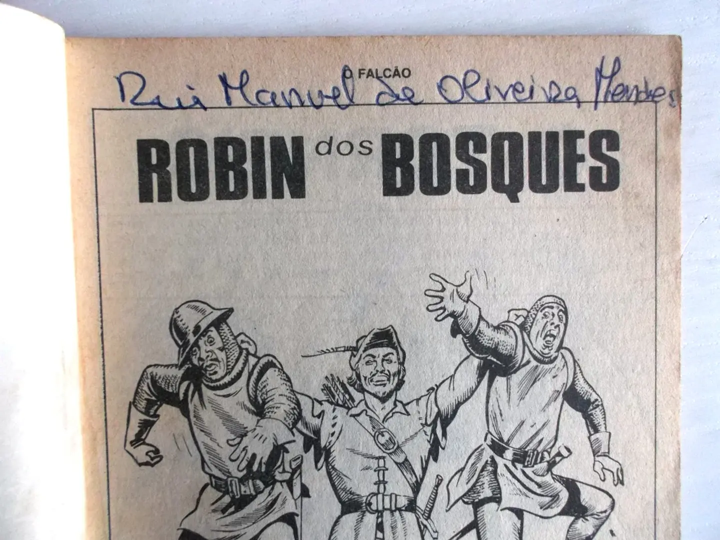 O Falcão 1213 - Robin dos Bosques 3