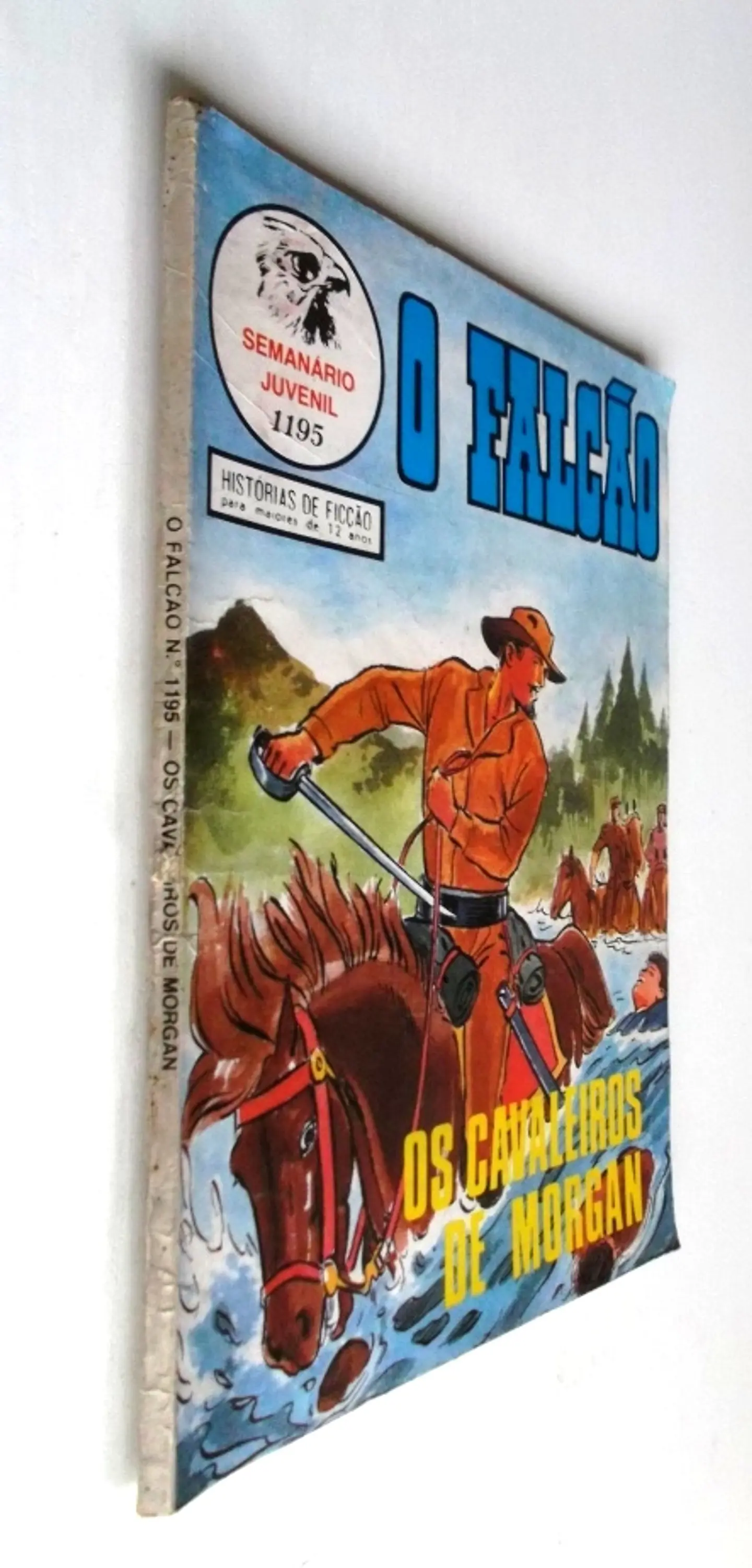 O Falcão 1195 3