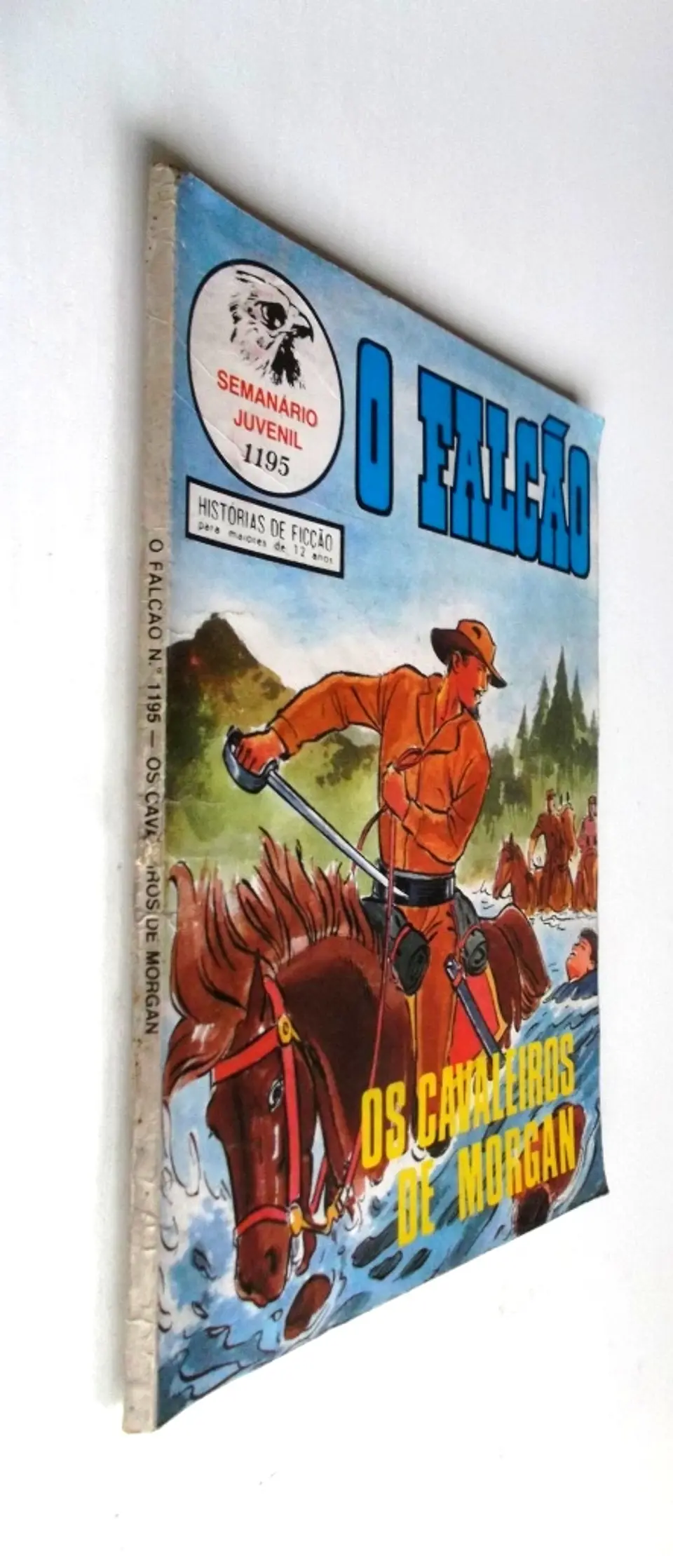 O Falcão 1195 3