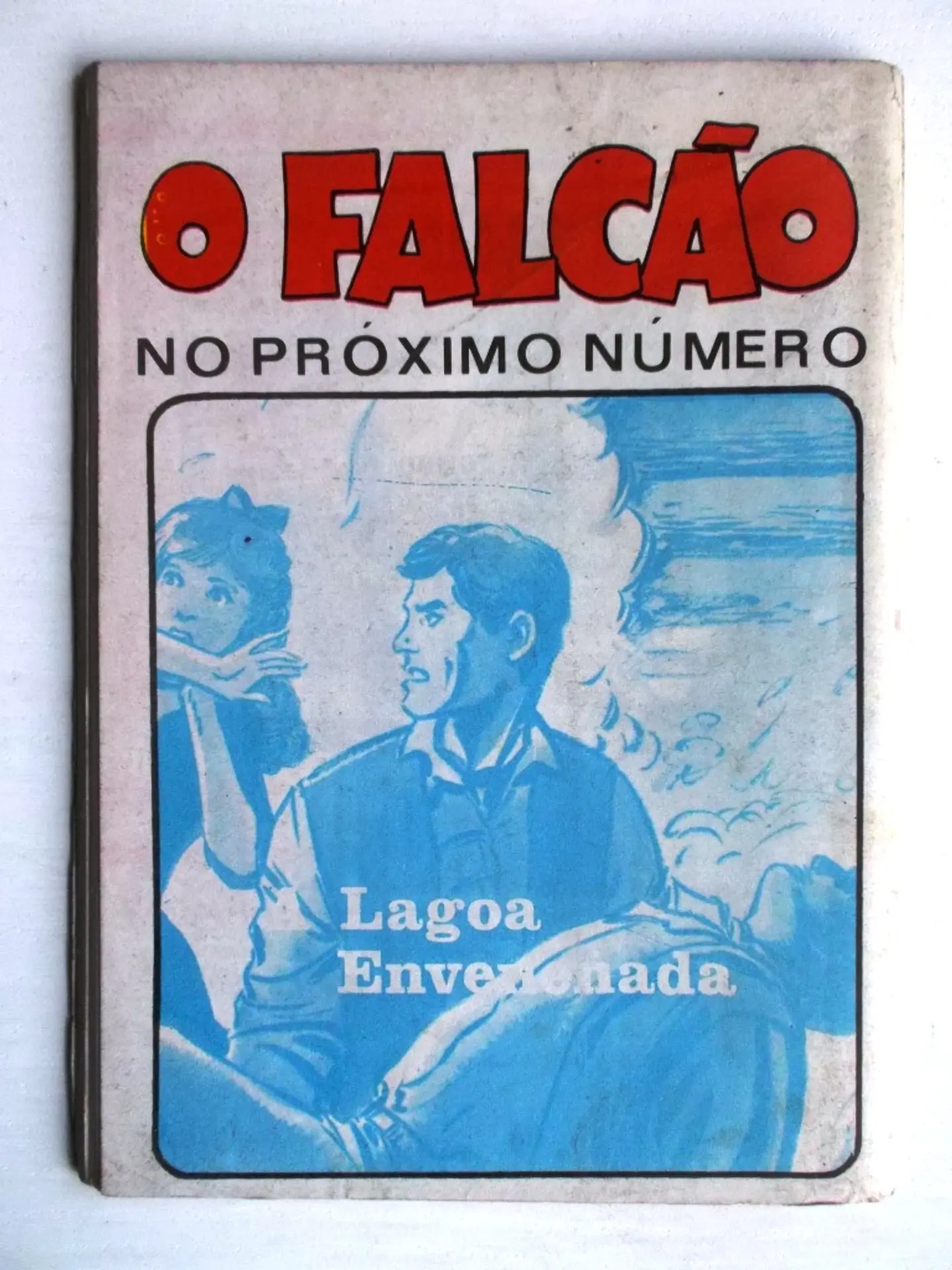 O Falcão 1167 2