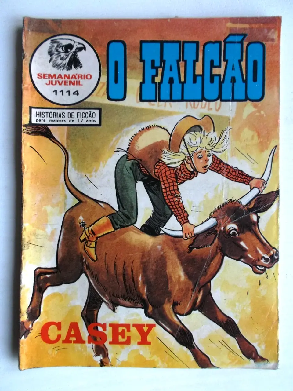 O Falcão 1114 | Casey 1
