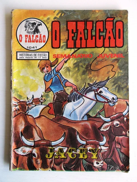 O Falcão 1041